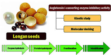 Graphical abstract: Two novel ACE inhibitory peptides isolated from longan seeds: purification, inhibitory kinetics and mechanisms
