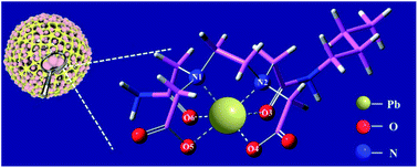 Graphical abstract: Heavy metal adsorption using structurally preorganized adsorbent