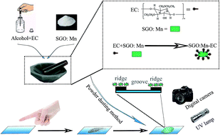 Graphical abstract: Novel organic–inorganic hybrid powder SrGa12O19:Mn2+–ethyl cellulose for efficient latent fingerprint recognition via time-gated fluorescence