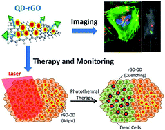 Graphical abstract: Development of hydrophobic reduced graphene oxide as a new efficient approach for photochemotherapy