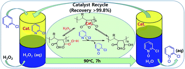 Graphical abstract: Recyclable anhydride catalyst for H2O2 oxidation: N-oxidation of pyridine derivatives