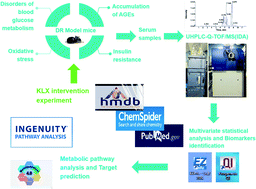 Graphical abstract: Identification of key lipid metabolites during metabolic dysregulation in the diabetic retinopathy disease mouse model and efficacy of Keluoxin capsule using an UHPLC-MS-based non-targeted lipidomics approach