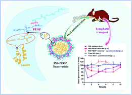 Graphical abstract: Polymeric nano-vesicles via intermolecular action to load and orally deliver insulin with enhanced hypoglycemic effect
