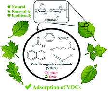 Graphical abstract: Cellulose particles capture aldehyde VOC pollutants