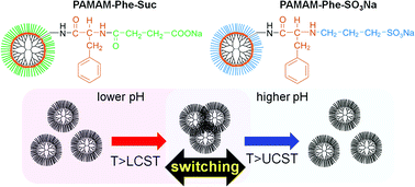 Graphical abstract: pH-Switchable LCST/UCST-type thermosensitive behaviors of phenylalanine-modified zwitterionic dendrimers