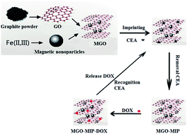 Graphical abstract: Drug-loaded dual targeting graphene oxide-based molecularly imprinted composite and recognition of carcino-embryonic antigen