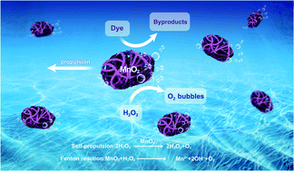 Graphical abstract: Bubble-propelled micromotors based on hierarchical MnO2 wrapped carbon nanotube aggregates for dynamic removal of pollutants