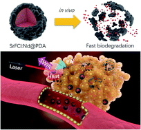 Graphical abstract: Biodegradable rare earth fluorochloride nanocrystals for phototheranostics