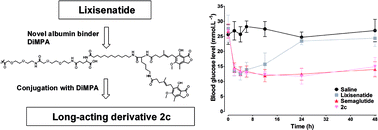 Graphical abstract: Discovery of lixisenatide analogues as long-acting hypoglycemic agents using novel peptide half-life extension technology based on mycophenolic acid