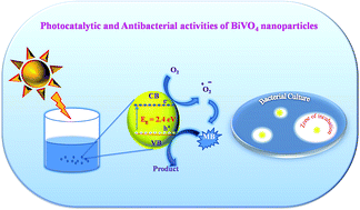Graphical abstract: Synthesis and characterization of BiVO4 nanoparticles for environmental applications
