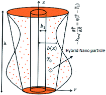 Graphical abstract: Adverse effects of a hybrid nanofluid in a wavy non-uniform annulus with convective boundary conditions