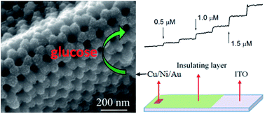 Graphical abstract: Synthesis of an ordered nanoporous Cu/Ni/Au film for sensitive non-enzymatic glucose sensing