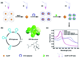 Graphical abstract: A rapid and ultrasensitive colorimetric biosensor based on aptamer functionalized Au nanoparticles for detection of saxitoxin