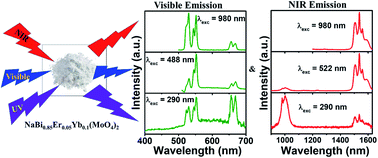 Graphical abstract: Excitation dependent visible and NIR photoluminescence properties of Er3+, Yb3+ co-doped NaBi(MoO4)2 nanomaterials