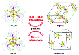 Graphical abstract: Polymorphism of Au11(PR3)7Cl3 clusters: understanding C–H⋯π interaction and C–H⋯Cl–C van der Waals interaction on cluster assembly by surface modification