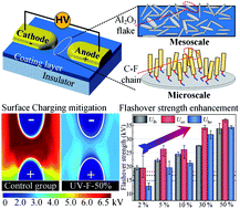 Graphical abstract: UV-cured nanocomposite coating for surface charging mitigation and breakdown strength enhancement: exploring the combination of surface topographical structure and perfluorooctyl chain