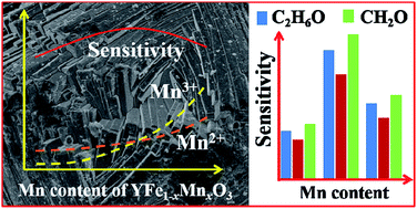 Graphical abstract: Enhanced gas sensing performance of perovskite YFe1−xMnxO3 by doping manganese ions