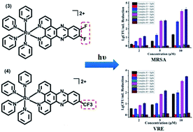 Graphical abstract: Fluorination in enhancing photoactivated antibacterial activity of Ru(ii) complexes with photo-labile ligands