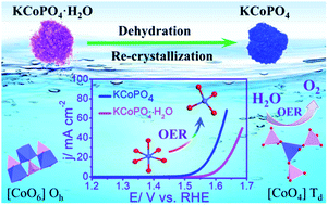 Graphical abstract: Coordination environment evolution of Co(ii) during dehydration and re-crystallization processes of KCoPO4·H2O towards enhanced electrocatalytic oxygen evolution reaction