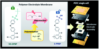 Graphical abstract: Synthesis and investigation of sulfonated poly(p-phenylene)-based ionomers with precisely controlled ion exchange capacity for use as polymer electrolyte membranes