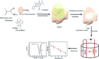 Graphical abstract: A chitosan gold nanoparticles molecularly imprinted polymer based ciprofloxacin sensor