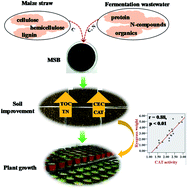 Graphical abstract: Biochar prepared from maize straw and molasses fermentation wastewater: application for soil improvement
