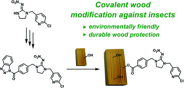 Graphical abstract: Novel nicotinoid structures for covalent modification of wood: an environmentally friendly way for its protection against insects