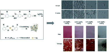 Graphical abstract: Facile one-pot synthesis of silver nanoparticles encapsulated in natural polymeric urushiol for marine antifouling