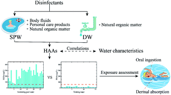 Graphical abstract: Environmental occurrence and risk assessment of haloacetic acids in swimming pool water and drinking water