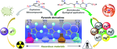 Graphical abstract: Recent progress in chemosensors based on pyrazole derivatives