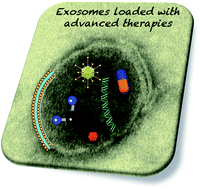 Graphical abstract: Use of exosomes as vectors to carry advanced therapies