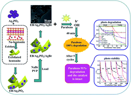 Graphical abstract: An efficient and robust exfoliated bentonite/Ag3PO4/AgBr plasmonic photocatalyst for degradation of parabens