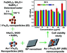 Graphical abstract: A nontoxic biocompatible nanocomposite comprising black phosphorus with Au–γ-Fe2O3 nanoparticles