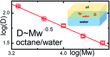 Graphical abstract: Lateral diffusion of single polymer molecules at interfaces between water and oil