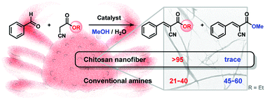 Graphical abstract: Chitosan nanofiber-catalyzed highly selective Knoevenagel condensation in aqueous methanol