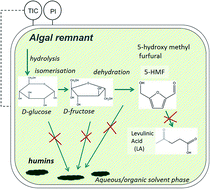 Graphical abstract: Transformation of remnant algal biomass to 5-HMF and levulinic acid: influence of a biphasic solvent system