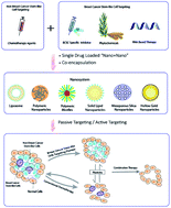 Graphical abstract: Dual or multiple drug loaded nanoparticles to target breast cancer stem cells