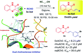 Graphical abstract: Malononitrile-activated synthesis and anti-cholinesterase activity of styrylquinoxalin-2(1H)-ones