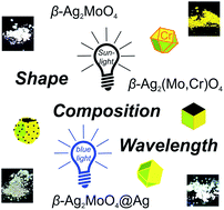 Graphical abstract: Facet-, composition- and wavelength-dependent photocatalysis of Ag2MoO4