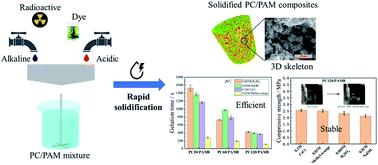 Graphical abstract: Rapid solidification of Portland cement/polyacrylamide hydrogel (PC/PAM) composites for diverse wastewater treatments