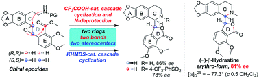 Graphical abstract: Studies on asymmetric total synthesis of (−)-β-hydrastine via a chiral epoxide ring-opening cascade cyclization strategy