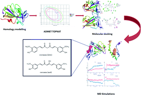 Graphical abstract: Curcumin to inhibit binding of spike glycoprotein to ACE2 receptors: computational modelling, simulations, and ADMET studies to explore curcuminoids against novel SARS-CoV-2 targets
