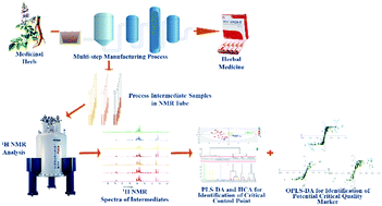 Graphical abstract: A novel critical control point and chemical marker identification method for the multi-step process control of herbal medicines via NMR spectroscopy and chemometrics