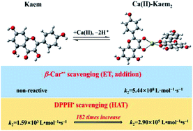 Graphical abstract: Alkaline earth metal ion coordination increases the radical scavenging efficiency of kaempferol