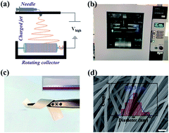 Graphical abstract: Piezoelectric polymer nanofibers for pressure sensors and their applications in human activity monitoring