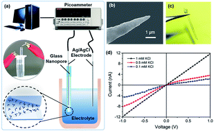 Graphical abstract: A glass nanopore ionic sensor for surface charge analysis