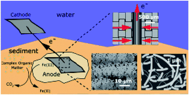 Graphical abstract: Impact of sediment parameters in the prediction of benthic microbial fuel cell performance