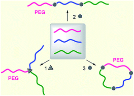 Graphical abstract: Advances in PEG-based ABC terpolymers and their applications