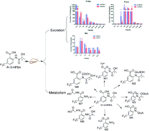 Graphical abstract: Exploring stereoselective excretion and metabolism studies of novel 2-(2-hydroxypropanamido)-5-trifluoromethyl benzoic acid enantiomers