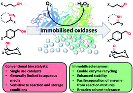 Natural heterogeneous catalysis with immobilised oxidase biocatalysts